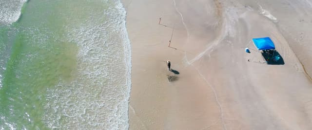 Aerial view of a surf fisherman and blue sun canopy on a white sand beach with turquoise Gulf water