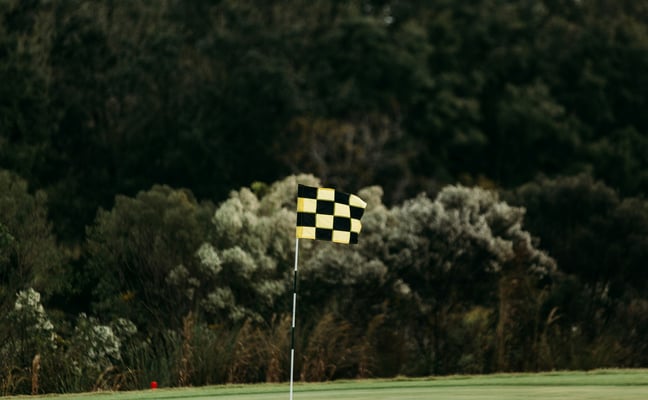 Checkered golf flag on a green surrounded by trees